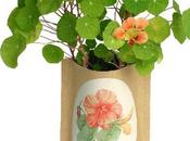 Indoor Gardening Kits Tools