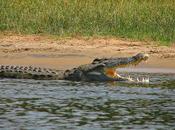Harrowing Tales First Descent Baro River Ethiopia