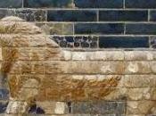 Recordings Review: Chorus Shall Lead Them