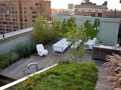 Innovative Rooftops