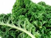 Kale, Fashionable Trendy Super Food Among Elite