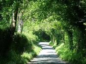 Driving Intriguing Backroads Wicklow County Ireland