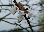 140/365 Down Farm Today...