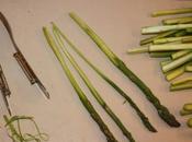 Best Peel Asparagus: Elusive Two-Bladed Peeling Tongs