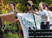 Hundreds Protest Against Genetically Engineered Trees