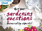 Expert Garden Advice
