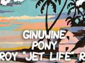 Ginuwine "Pony" (Viceroy 'Jet Life' Remix)