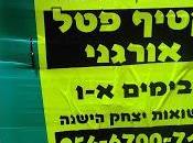 Touring Eretz Yisrael: Organic Berry Picking Gush Etzion