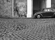 Dolce Bellezza Turns Seven