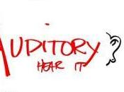 Learning Styles: Visual, Audio, Kinesthetic