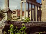 Roman Forum Remains
