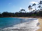 Maui: Napili Beach