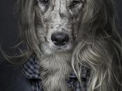 Funny Portraits Dogs Dressed Like Humans