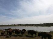 West Texas Oilfield Town Water