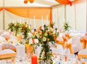 Wedding Planner Q&amp;A; “What Need Know About Planning Tented Wedding?”