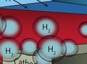 Microfluidic Test-Bed Artificial Photosynthesis Testing Developed