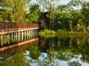 Celebrate Nasher XChange Countdown Trinity River Audubon Center Friday, June