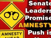 Senate Votes Amnesty Before Border Security: Your Senator Voted