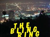 Soundtrack Pick Bling Ring (2013)