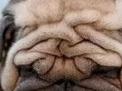 It's Done With Smoke Mirrors Industrial-Strength Underwear