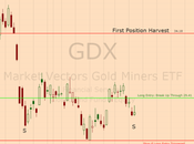 Stock Market Update, Outlook Forecast: Entry Potential Gold Miners Bull Move.