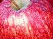 Apple Cinnamon Snack Health Kids