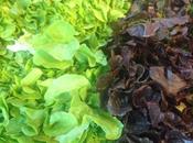 Being Professional Your Best Marketing Tool!