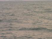 Relish Challenge Part