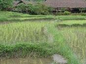 Long Neck Tribe Chiang Mai, Thailand