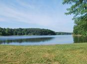 Rollins Family's Mega Bucks Southern Clout That Make Proposed Highway Change Course