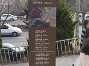 Korea: Jeonju Mural Town