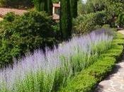 Candille Hotel: Paid Luxury