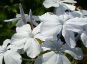 Realistically Blown Mind Reality Check