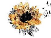 Smallpools "Dreaming" (The Chainsmokers Remix)