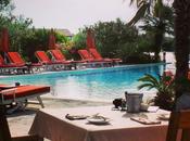 Breakfast Hotel L’Estelle Camargue