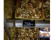 Trendy Vegan Spotlight: Mushrooms