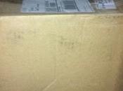 Summer Swap with WannaBe Green