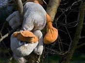 Dusty Toys Other Cliches