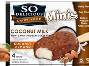 Delicious Mini Bars Dairy Free Benefits