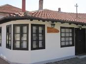 Traditional Pirot: Ponisavlje Museum