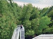 Great Lakeside Homes Around World