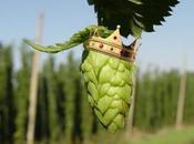 Long Live King? Hops, IPAs Beer Business
