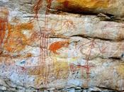 Tales From Down Under