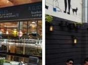 Southern Summer Style Drake Yard