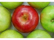 Resisting Power Fashion