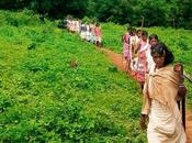 Struggle Against Mining Orissa Pulls Vedanta Halt