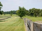 Snapshots from Appomattox