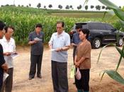 DPRK Premier Visits Farms South Hwanghae Province