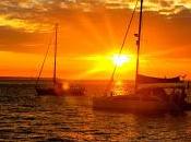 Tales From Down Under: Picture Worth Thousand Words!