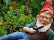 Literal Interpretation